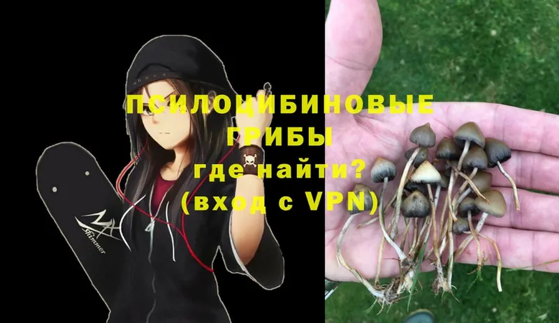 площадка телеграм  Ахтубинск  Псилоцибиновые грибы MAGIC MUSHROOMS  mega зеркало 